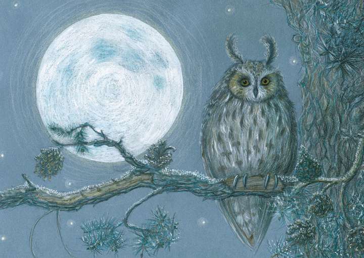 NEW PRINTING Long Eared Owl