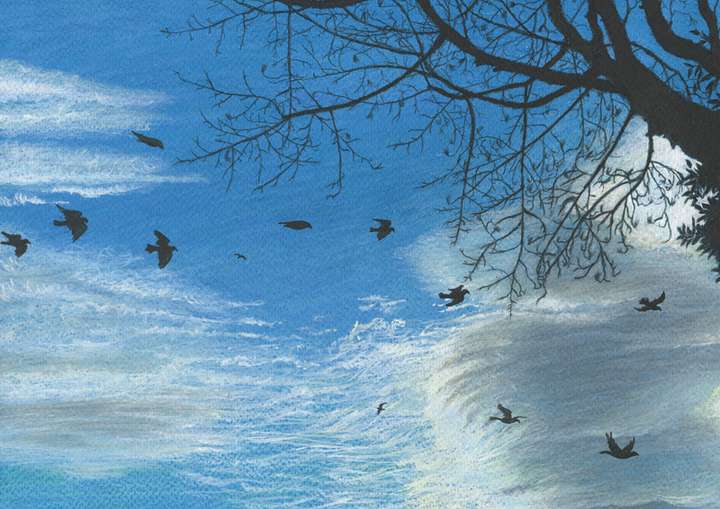 NEW PRINTING Pigeons Flying