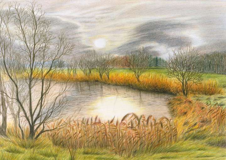 NEW PRINTING Reeds and Cloud