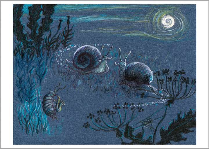 Snails By Moonlight