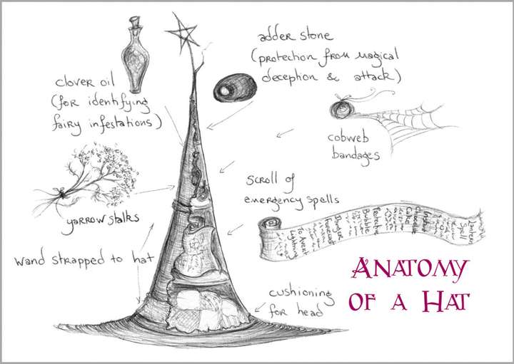 Anatomy of a Hat