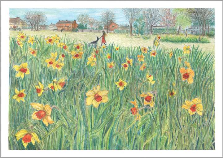 Daffodil Park