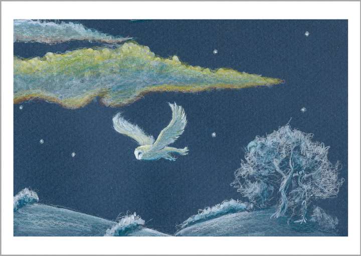 Barn Owl - Winter Sky