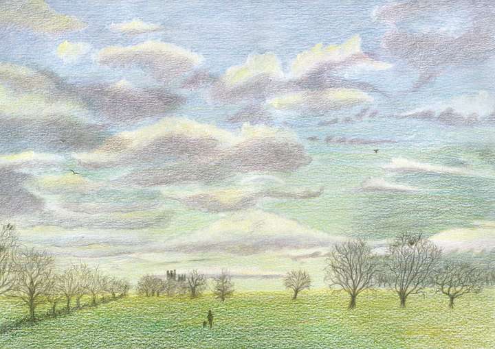 Winter Afternoon